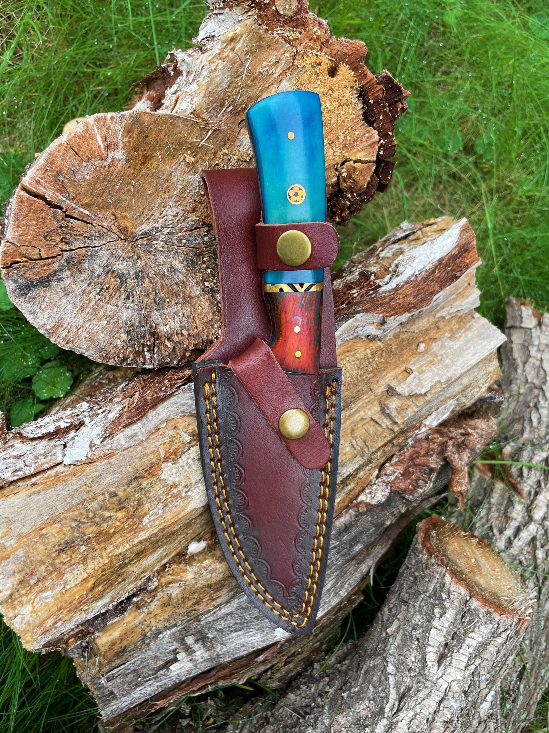 Knife with a blue handle and brown leather sheath on a wooden log