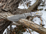 Folding knife on a tree branch with snow in the background